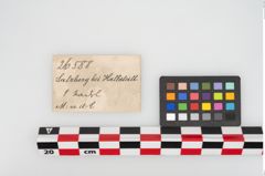 Etikett zu Bronzemehrkopfnadel (NHMW-PRAE-026588)